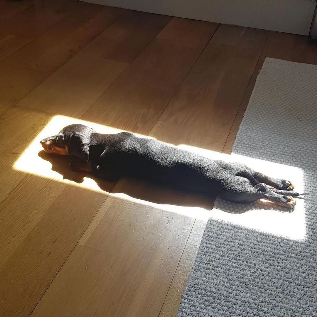 你有没有想过不结婚原版,90后想一辈子不结婚这正常吗