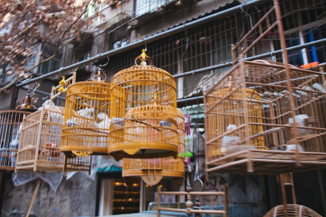 西安旅游攻略带小孩,茂名去西安旅游攻略