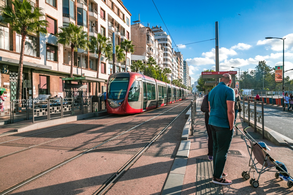 摩洛哥黑马小组第一,摩洛哥黑马闯入四强