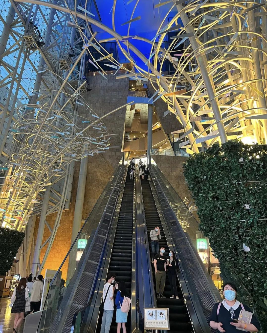 香港打卡香港之王,香港打卡点图片