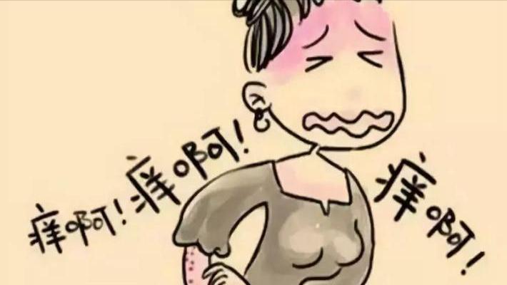 男性大量阴虱和虫卵,阴虱会寄生到身体哪些部位