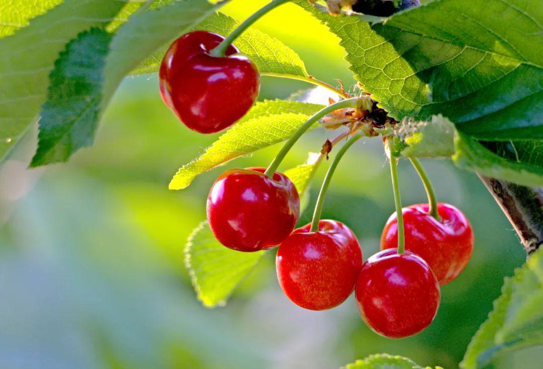 皱纹的克星吃了有什么好处,皱纹克星每天一滴淡化皱纹