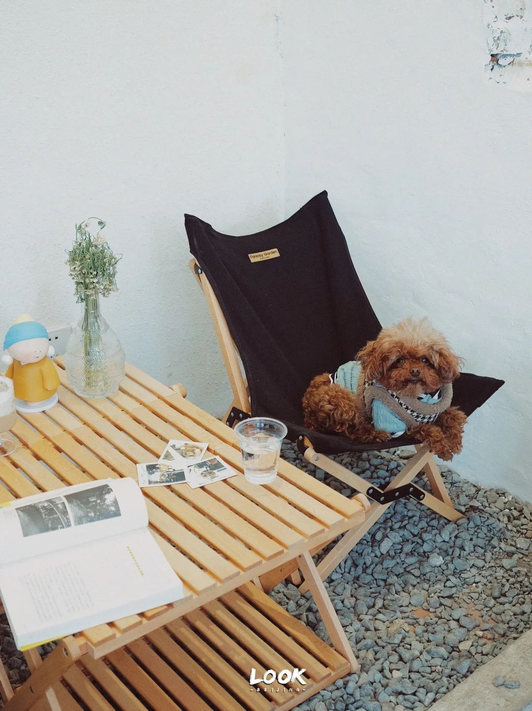 北京哪里有宠物店铺,宠物友好商城北京