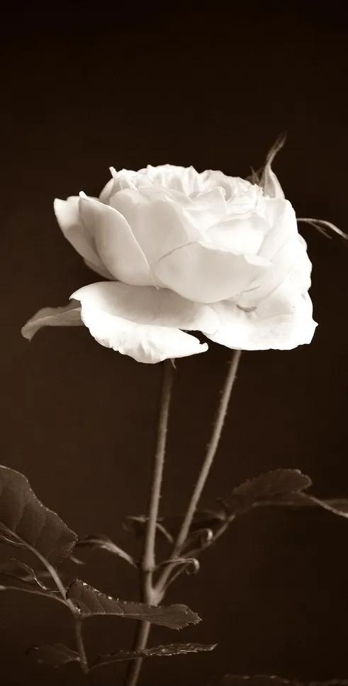 黑暗系壁纸黑底文字,黑暗色系的壁纸