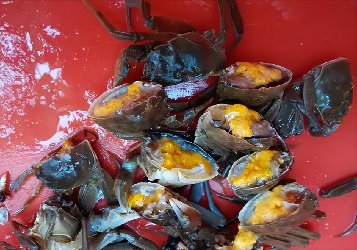 死掉的大闸蟹到底有多毒,大闸蟹买的活的到家死了还能吃吗