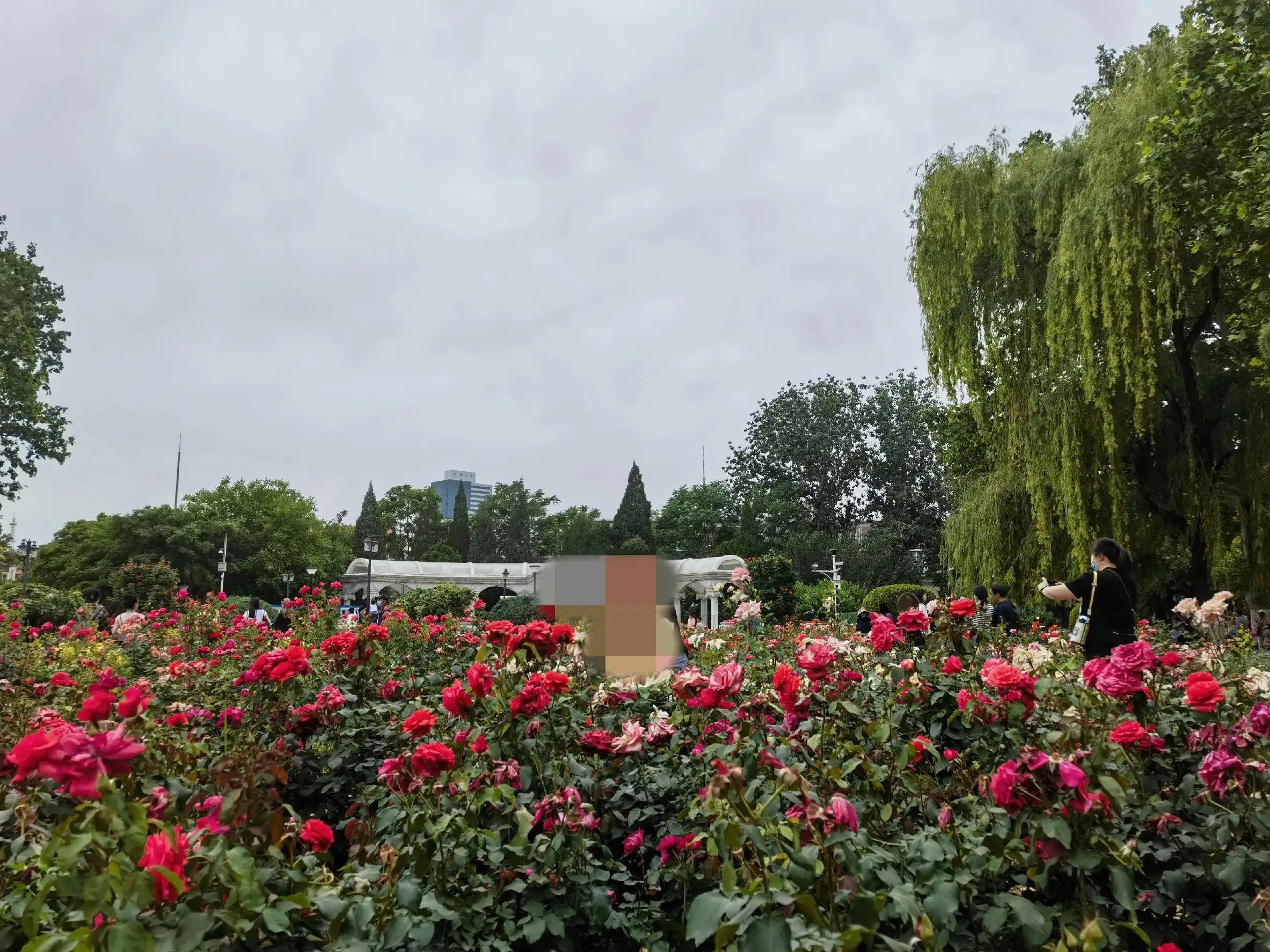 天津打卡地方发朋友圈文案,天津打卡地标图片