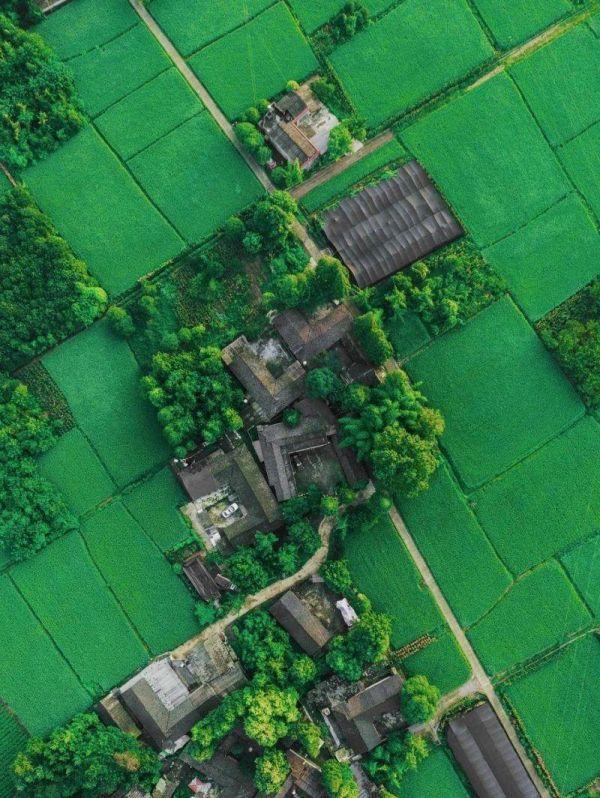 微生物菌群最新研究进展,一号菌群科研新成果