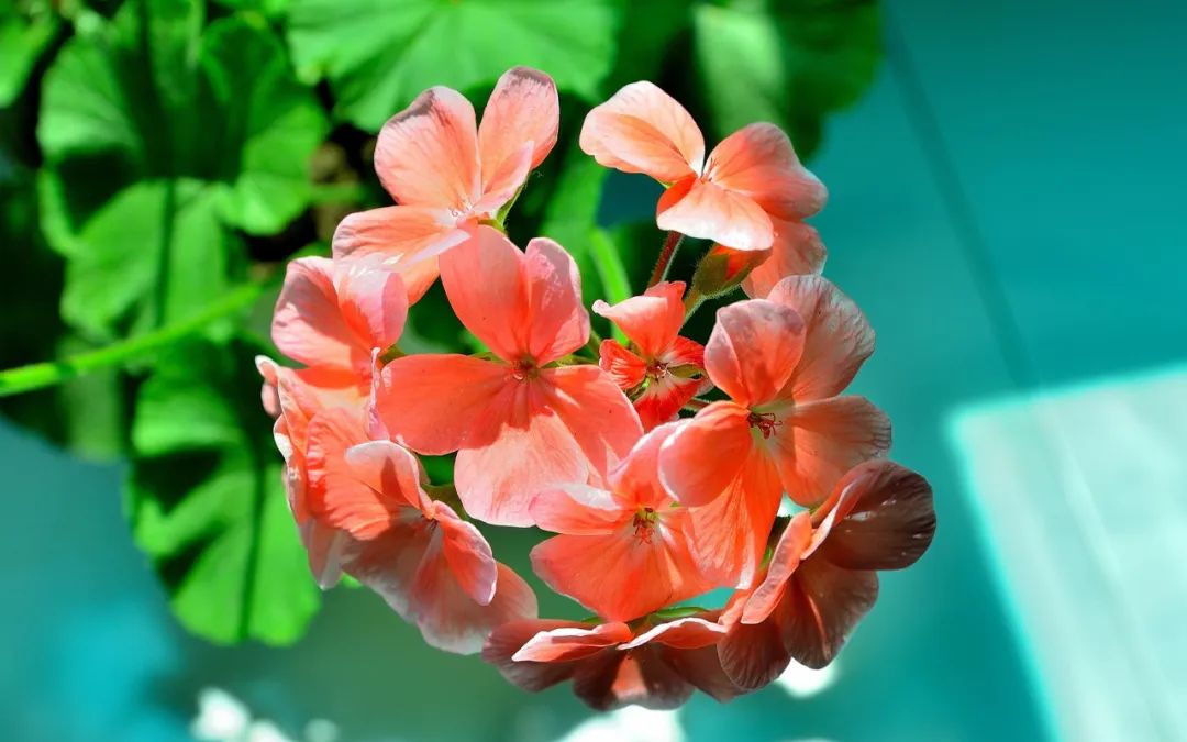 形容很开心的句子70条经典语录大全