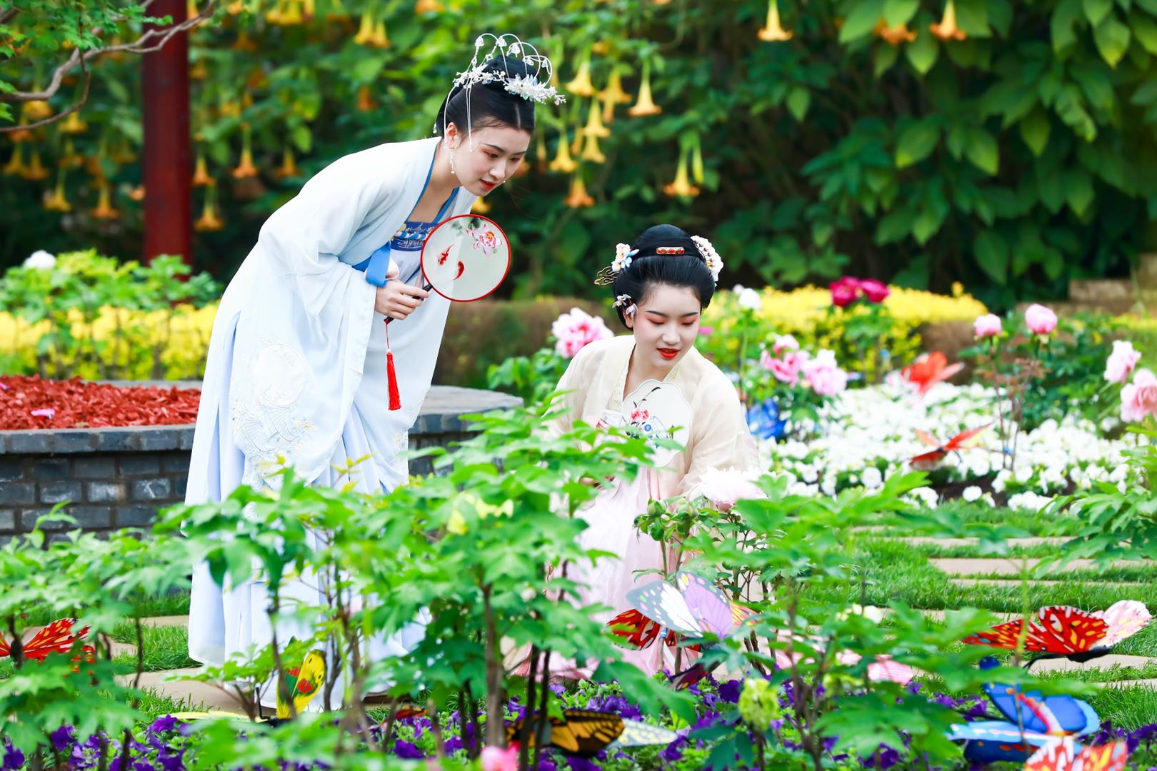 花开时节动京城的牡丹真国色,唯有牡丹真国色花开富贵动京城