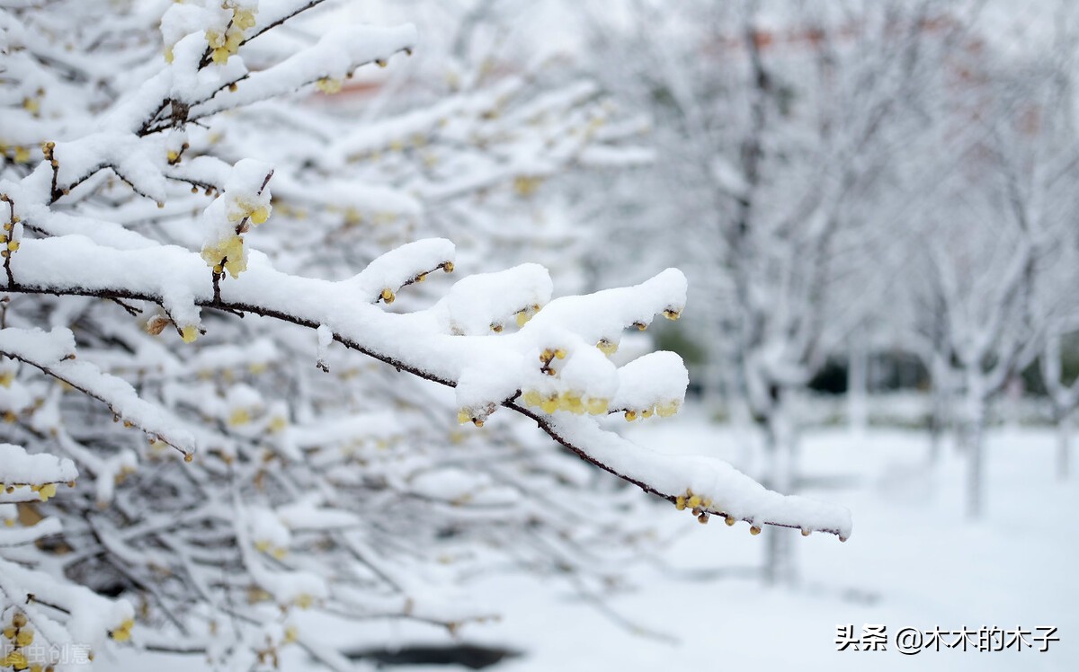 古风虐恋小说殿上欢,皇宫古风虐心小说中篇