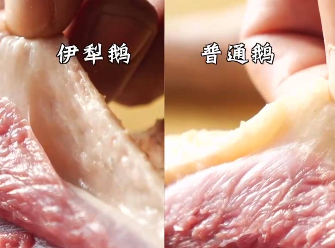 养鹅3000只被拐走,东北大爷养大鹅被大雁拐走3000只