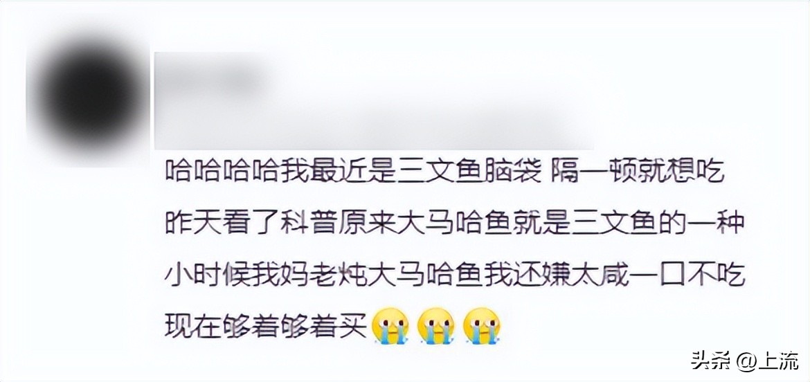 大马哈鱼,东北大马哈鱼