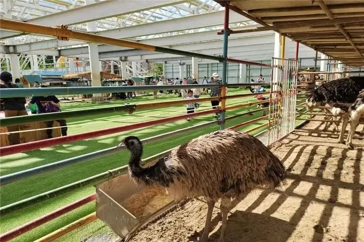 【FENG娱】王佐镇:娱乐+科普+自然,暑假解锁亲子出游新方式!