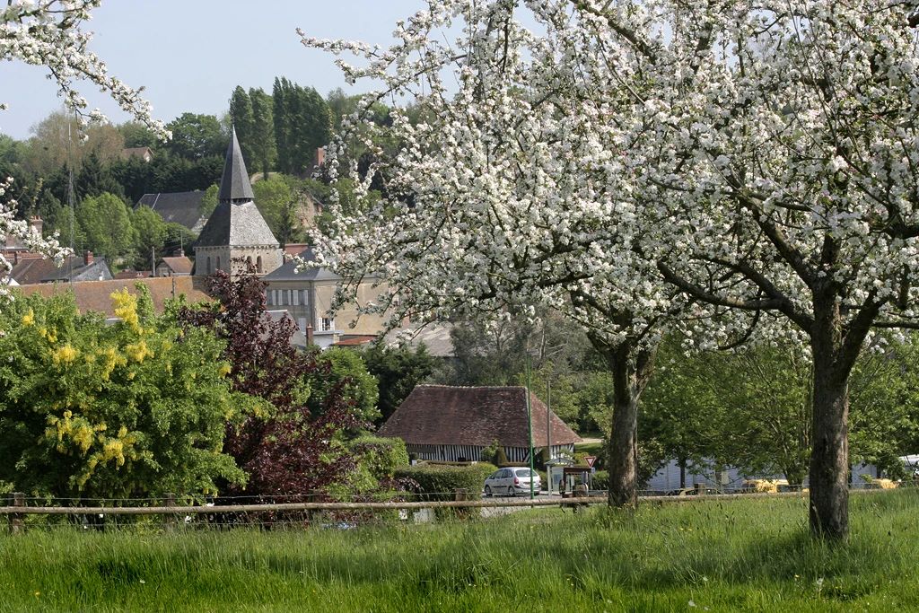 不容错过法国红酒,不容错过的精彩时刻