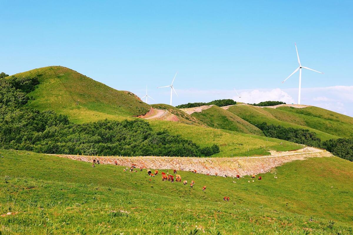 安吉乡趣谷山野附近有什么好玩的,安吉景点旅游攻略图片大全