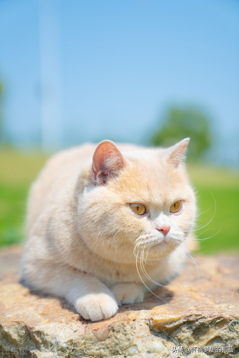 培养积极心态的十种方法,如何建立积极正能量的心态