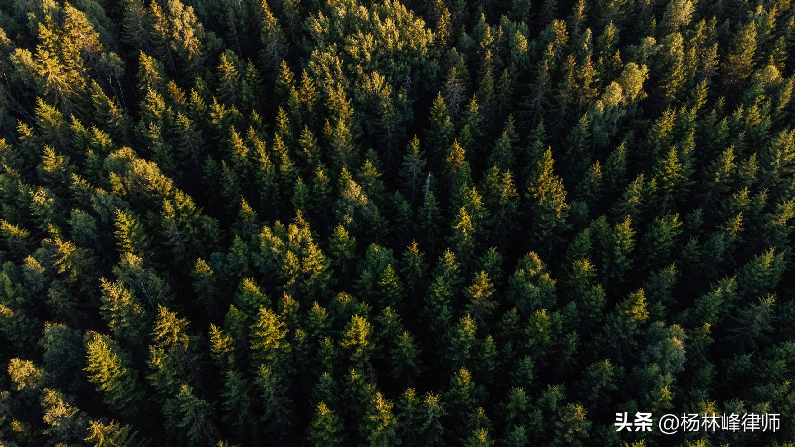 中小企业划分标准工信部,中小企业划分标准2023