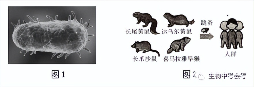 初中生物会考试卷复习视频,中考会考生物试卷