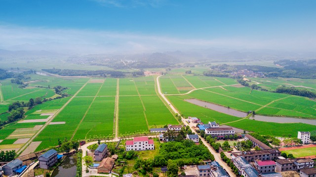 景德镇有希望超过新余吗,景德镇城市和宜春城市哪个更大
