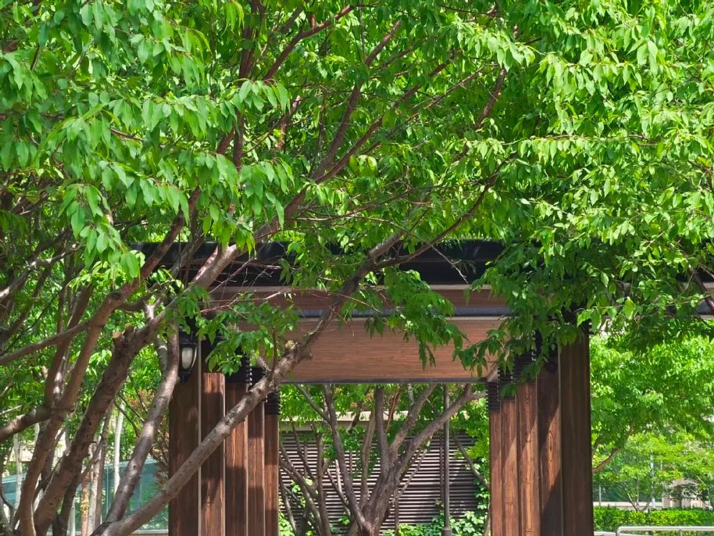 谁是影像机皇,谁才是手机机皇