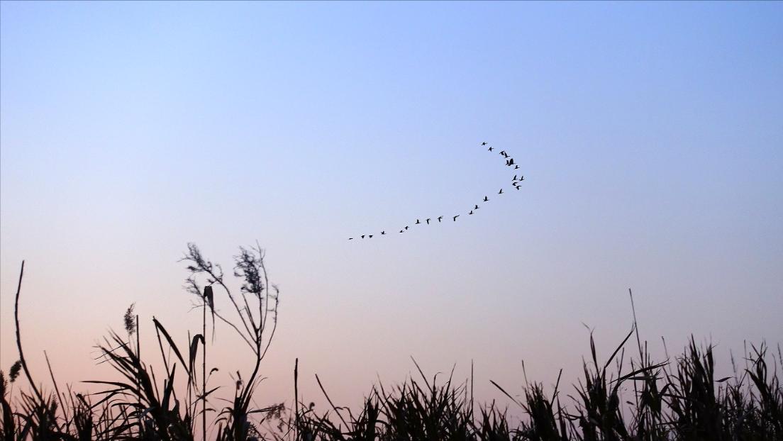 盐城千亿级县区,盐城一座打开心扉的城市图片