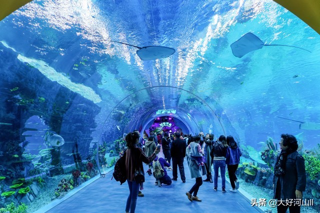 大连旅游攻略老虎滩,大连老虎滩海洋公园出口在哪