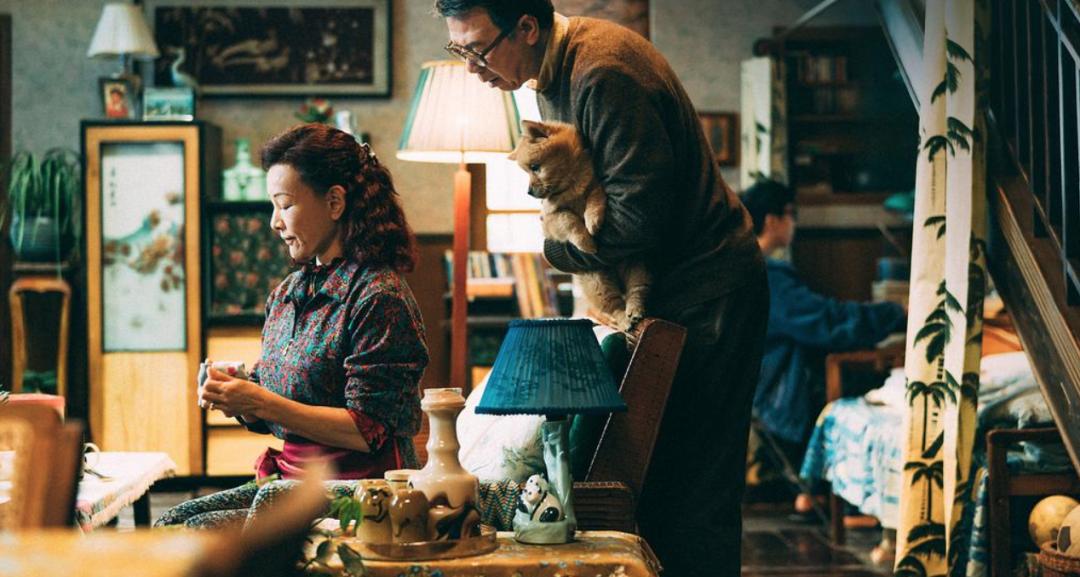 国产翻拍2019 (国内翻拍的电影吐槽)