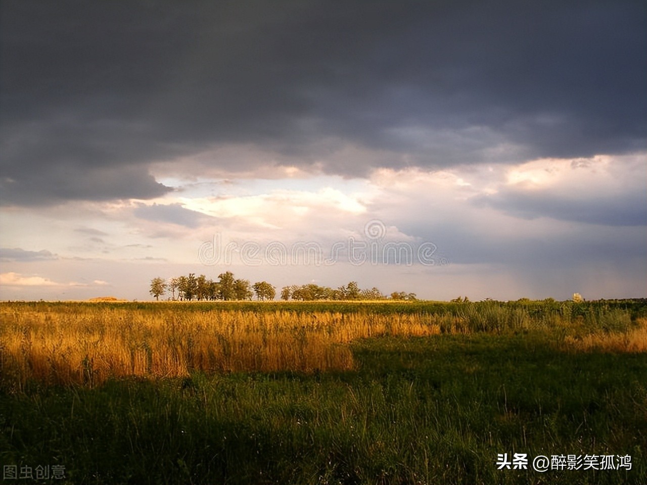 三年级上册语文花的学校课文讲解,三年级上册语文课文花的学校解读