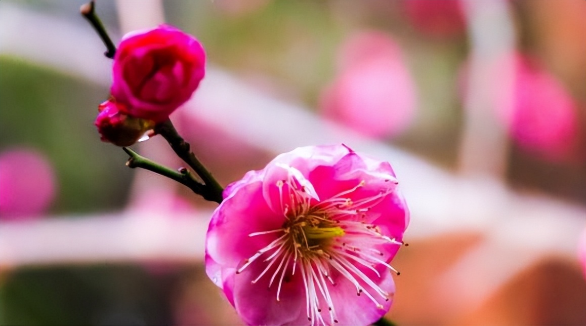 独具性格魅力让人久处不厌的星座,能力很强但是人缘很差的星座