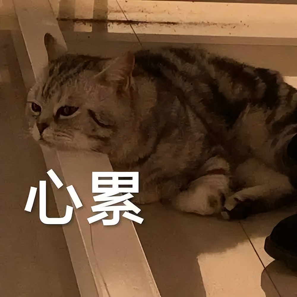 妈妈再骂我一次是什么梗,妈妈要气我了我该怎么办