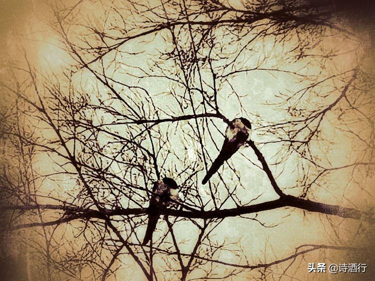 “昔人已乘黄鹤去”，继忠已经离开我们整整一年了