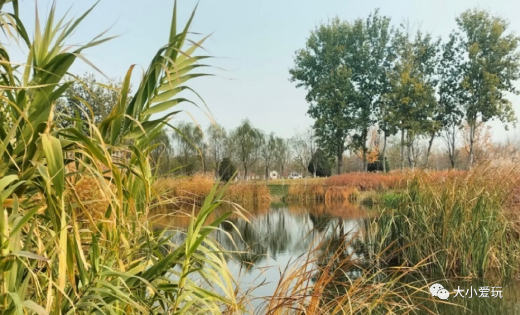 最适合遛娃的十大公园,西安超适合遛娃的10大公园