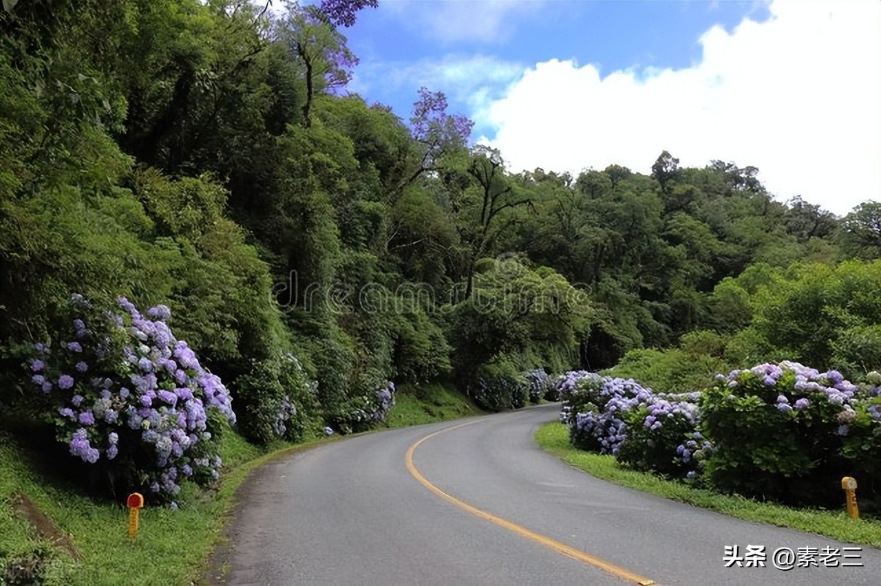 女作家去做保姆最新一期内容,女作家去做保姆520