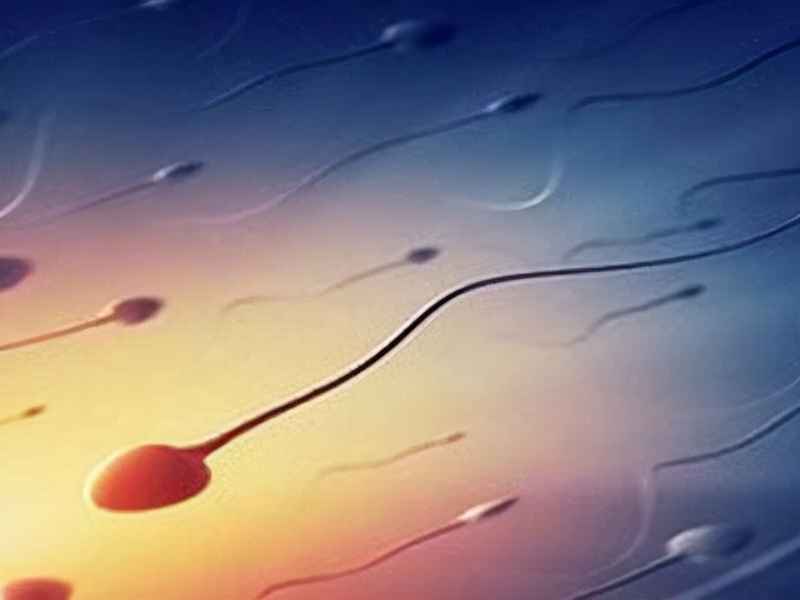 卵子也会偏爱一个男人吗,人类卵子对某些精子情有独钟