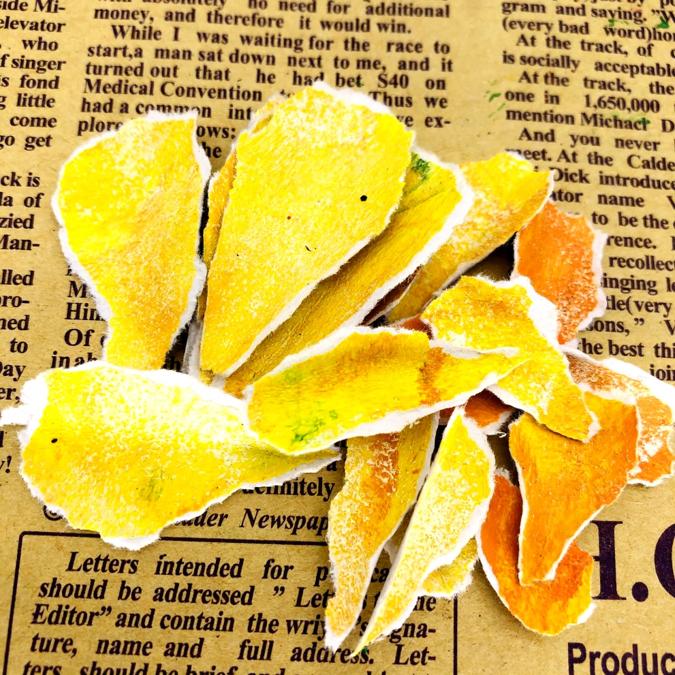 迎春花歌曲,迎春花是什么颜色的