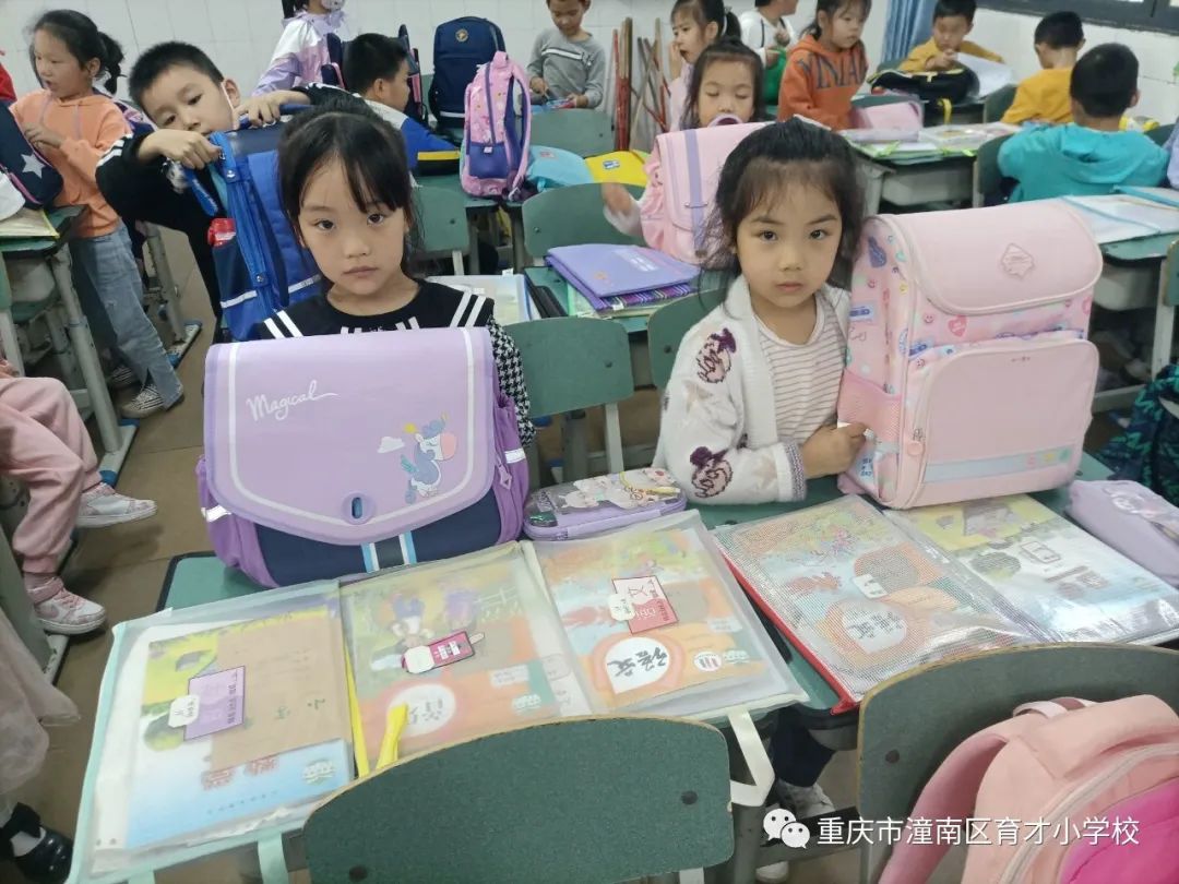 重庆劳动教育小学,重庆市潼南区育才小学的图片