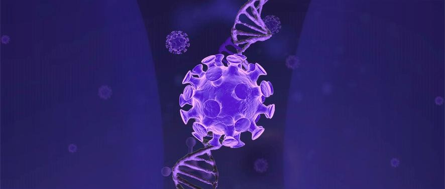 纳米技术在癌症诊断中的应用论文,宫颈癌靶向治疗的研究进展