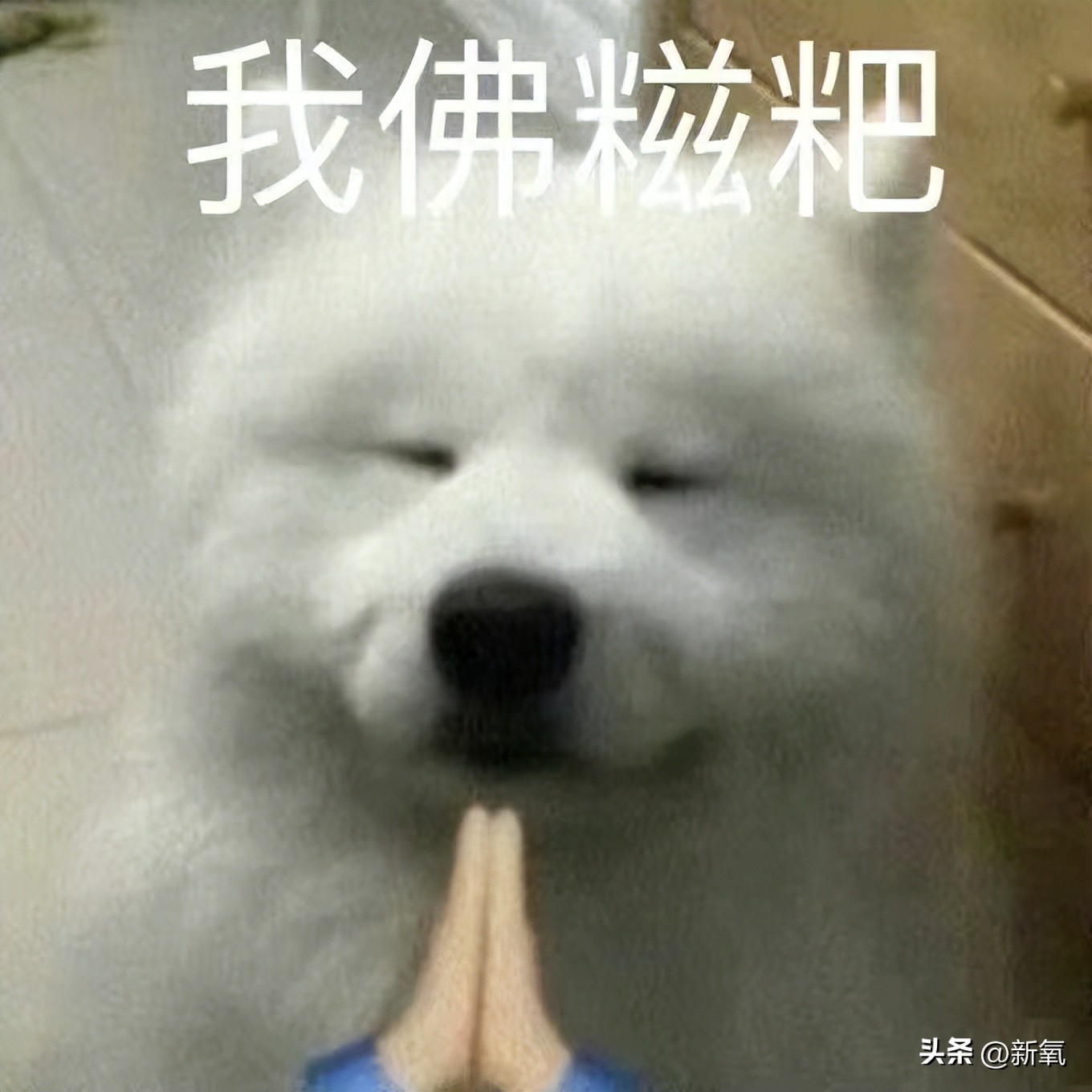 为了女粉连夜do脸染发，这新晋痞帅天花板是男菩萨吧？