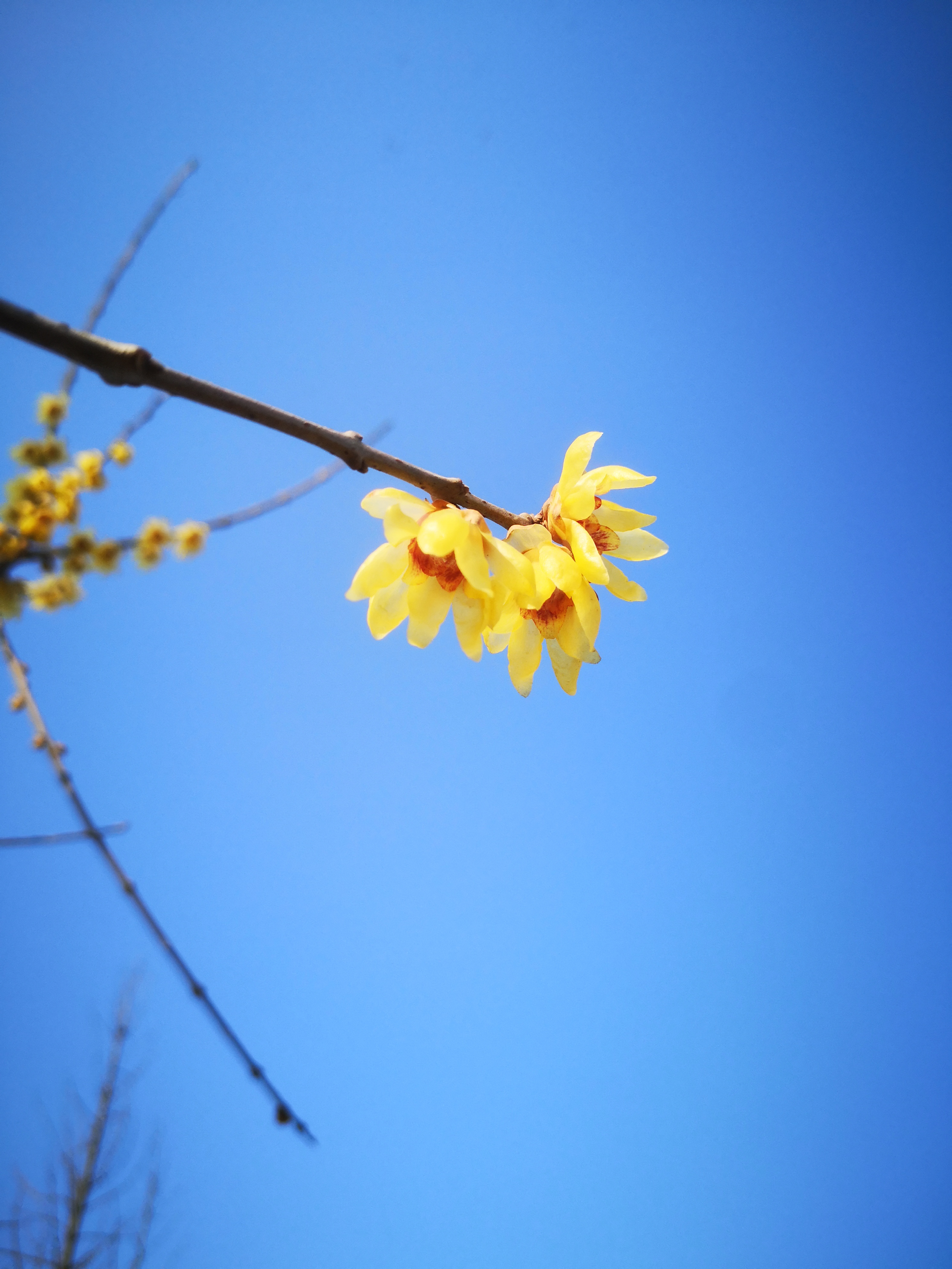 孔明的著作大全,孔明的散文