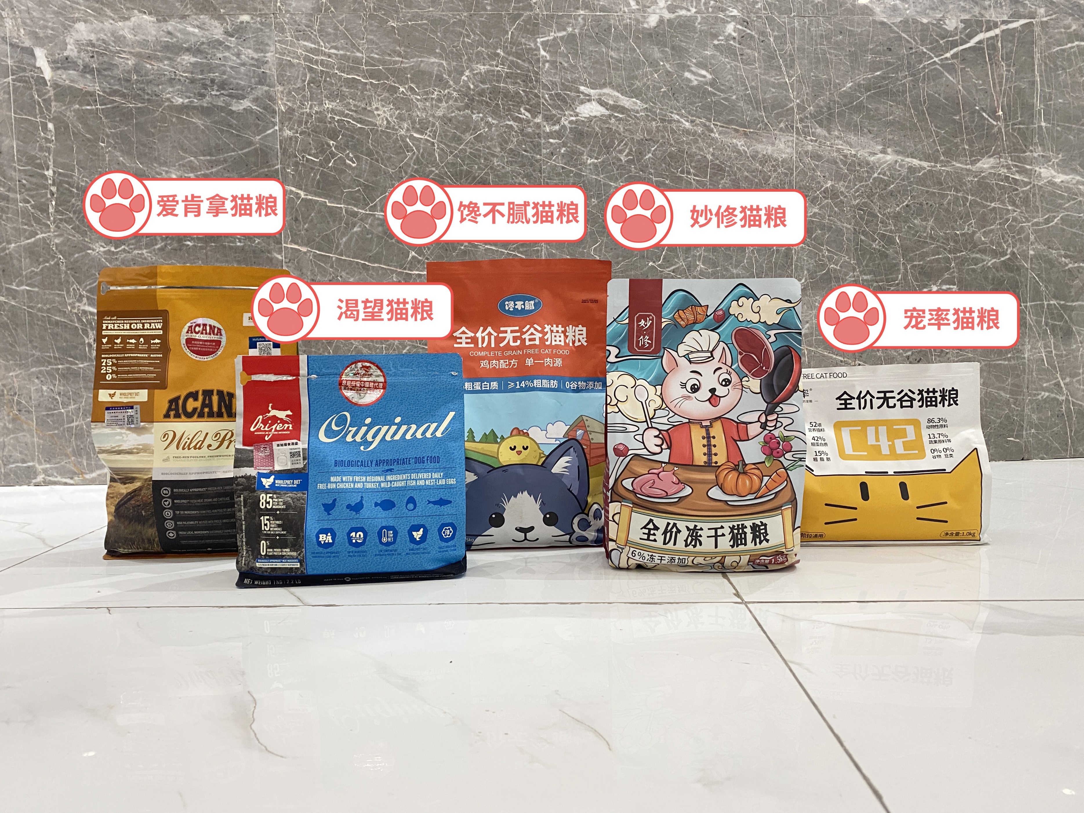 养猫我劝你养中华狸花猫,养巨型缅因猫的感受