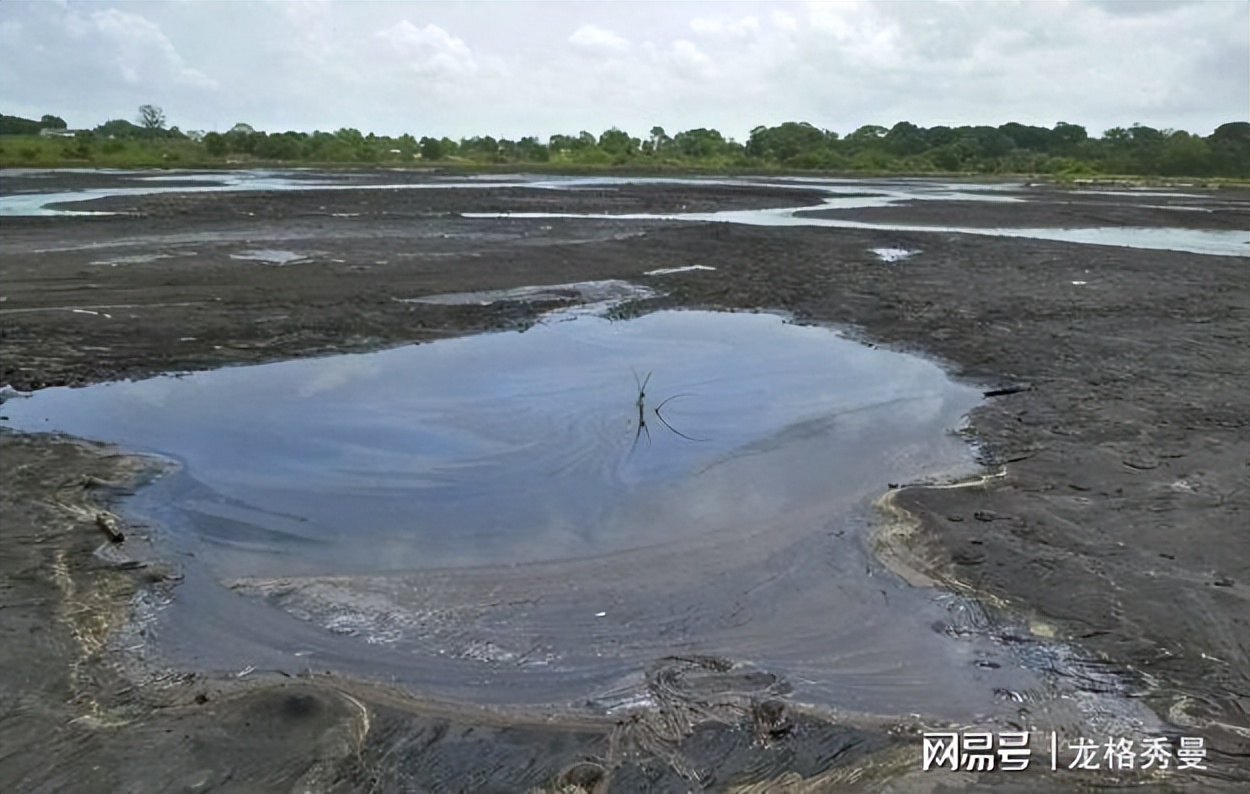百慕大海域飞机失踪之谜,1943年美国飞机人员失踪事件
