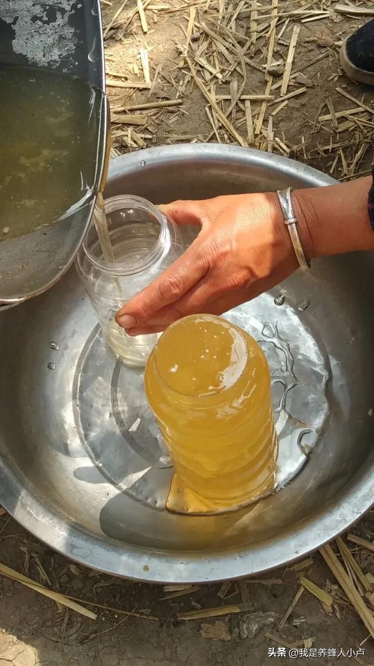 可以做到一招辨别真假蜂蜜吗？真的假的？我咋不信呢？
