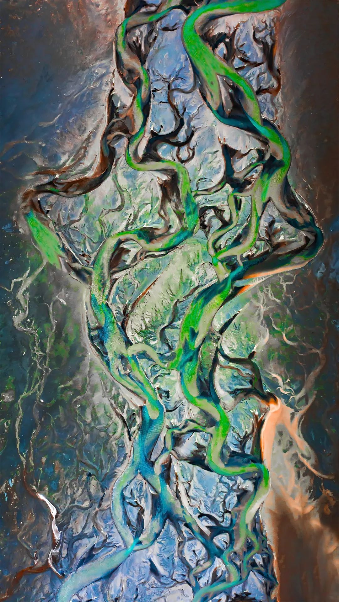 来自五湖四海的大学生摄影爱好者们，在拍些什么？