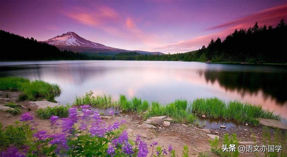 高考语文特殊用法成语总结,高考成语复习分类汇总