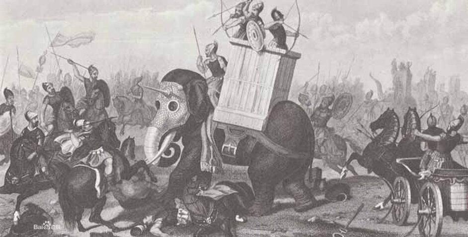 西双版纳十大动物,西双版纳的珍稀动物有什么