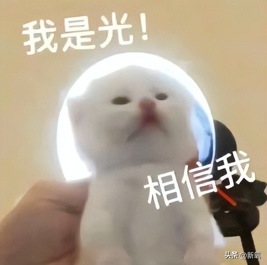 脸太下垂,脸下垂了是不是就显胖