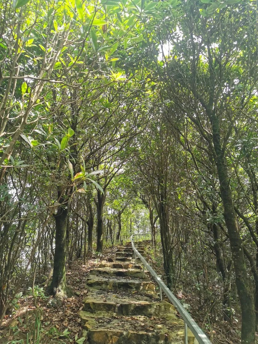 广州从化第一峰天堂顶,广州第一峰从化