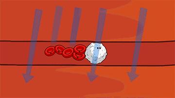 好胆固醇对身体有什么影响,高胆固醇可以维护血管健康吗