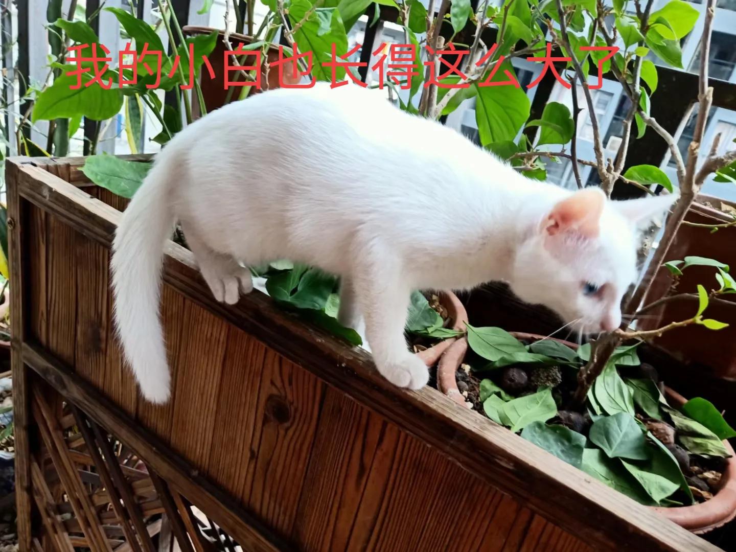 happy鎴戠殑濂冲鎻掓洸,浣爃appy鎴戜篃happy