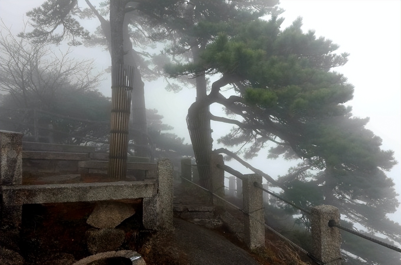 黄山慈光阁到玉屏楼步行多久,爬黄山从慈光阁开始的攻略